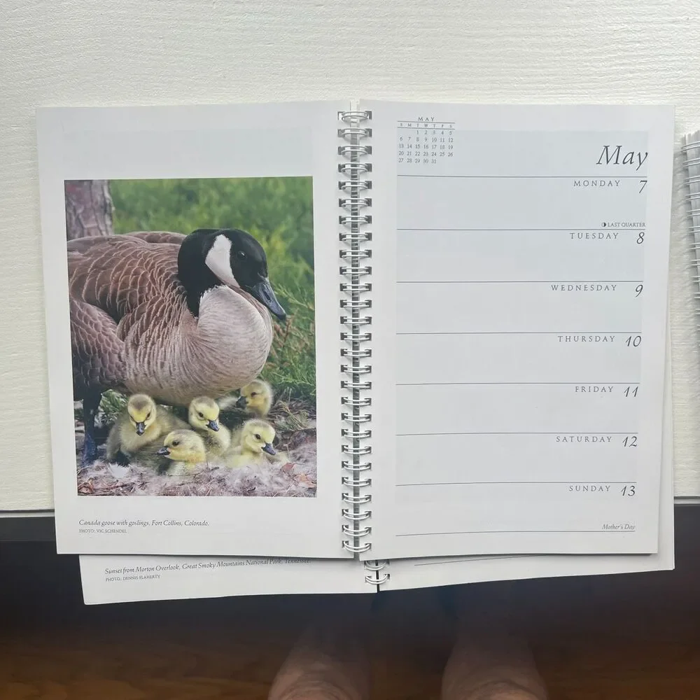 Lot of 3 Sierra Club Engagement Calendars 2013 2017 2018 Nature Photography